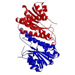 Image of CATH 3asu