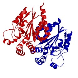 Image of CATH 3asz