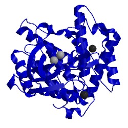 Image of CATH 3ats