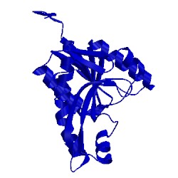 Image of CATH 3auf