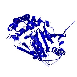 Image of CATH 3avq