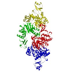 Image of CATH 3ax6