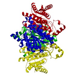 Image of CATH 3ay6