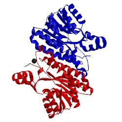 Image of CATH 3ay7