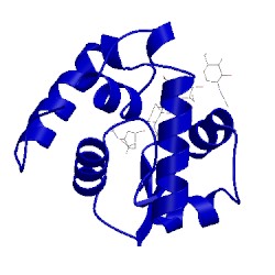 Image of CATH 3ayq