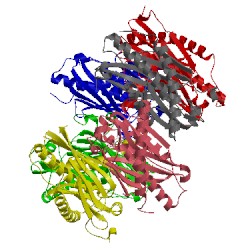 Image of CATH 3b4t