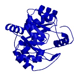 Image of CATH 3b5v