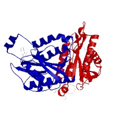 Image of CATH 3b6i