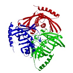 Image of CATH 3b7k