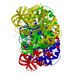 Image of CATH 3b8w