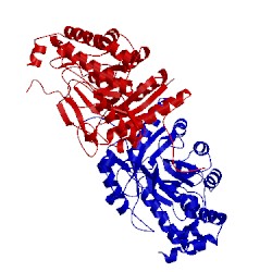 Image of CATH 3ban