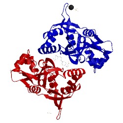 Image of CATH 3bbr