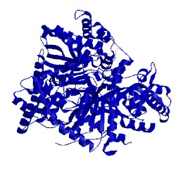 Image of CATH 3bcr