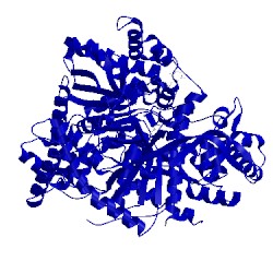 Image of CATH 3bd7