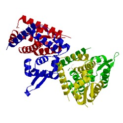 Image of CATH 3bdd