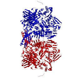 Image of CATH 3bdj