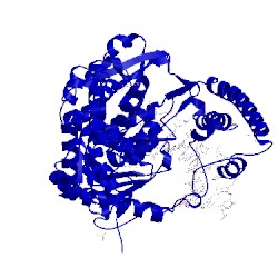Image of CATH 3bdp