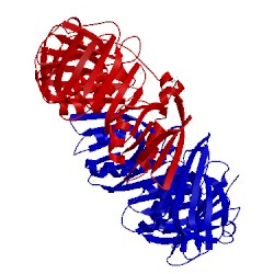 Image of CATH 3bep