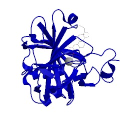 Image of CATH 3bet