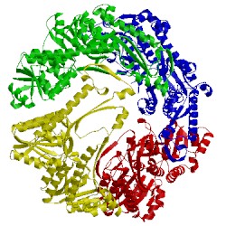 Image of CATH 3bf0