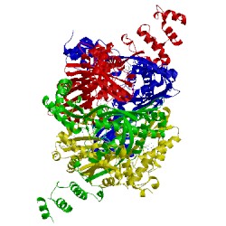 Image of CATH 3bgl