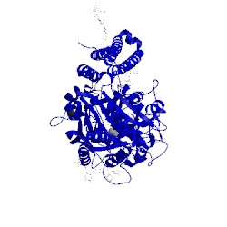 Image of CATH 3bhx