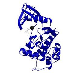 Image of CATH 3bhy