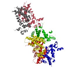 Image of CATH 3bjb