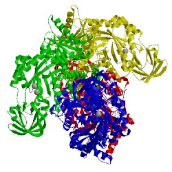 Image of CATH 3bjf
