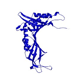 Image of CATH 3bjp