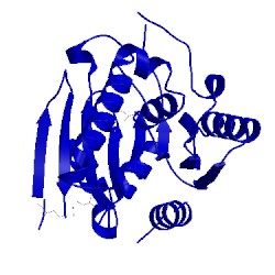 Image of CATH 3bjr