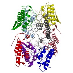 Image of CATH 3bjw