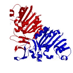 Image of CATH 3bkw