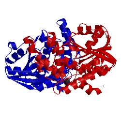 Image of CATH 3bkx