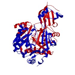 Image of CATH 3bla