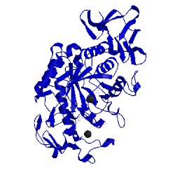 Image of CATH 3blp