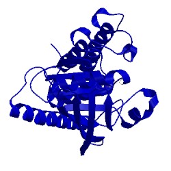 Image of CATH 3blt