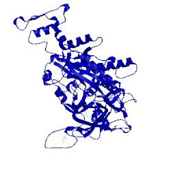 Image of CATH 3bly