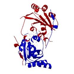 Image of CATH 3bm2