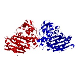 Image of CATH 3bm6