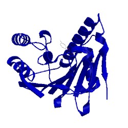 Image of CATH 3bm9