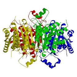 Image of CATH 3bmn