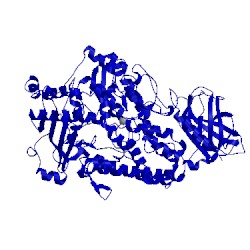 Image of CATH 3bne