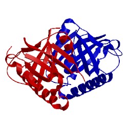 Image of CATH 3bnw