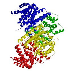 Image of CATH 3bnx