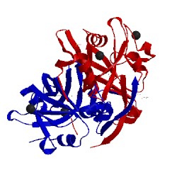 Image of CATH 3bpk