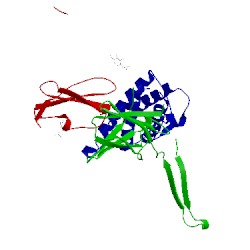 Image of CATH 3bpn