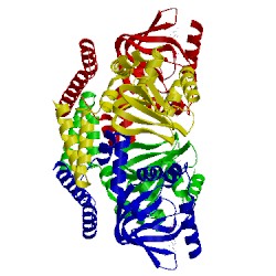 Image of CATH 3bpz