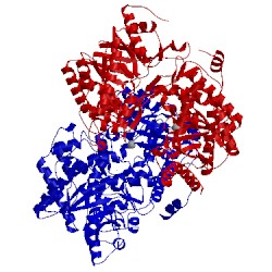 Image of CATH 3bq5