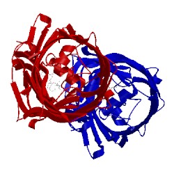 Image of CATH 3bs0